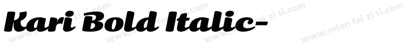 Kari Bold Italic字体转换